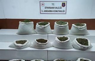 Diyarbakır’da 22 milyon kök kenevir ele geçirildi