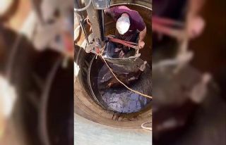 Diyarbakır’da 7 metrelik su kuyusuna düşen boğa,...