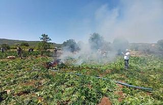 Diyarbakır’daki uyuşturucu operasyonunda ele geçirilen...