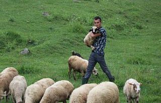 Doğa tutkunu ambulans şoförü iş stresini koyun...