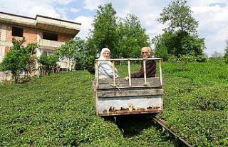 Doğu Karadeniz’e raylı sistemi 25 yıl önce ilk...