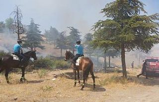 Doğum günü yangınla bitti, atlı jandarmalar fark...