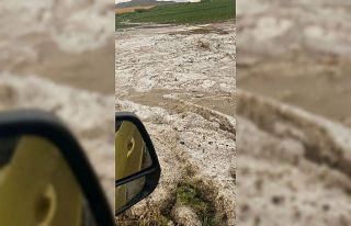 Dolu yağışı, yüzlerce dekar ekili alana zarar...