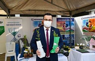 Dünya Çölleşme Gününde fidan dağıtıldı