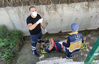 Dut toplamak için çıktığı ağaçtan su kanalına...