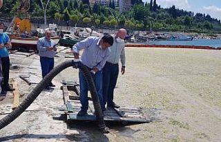 Düzce Belediyesi Marmara Denizi’nde musilaj temizliği...