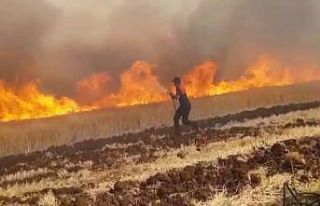 Ekili alan yangınları arttı, itfaiye müdürü...