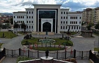 Elazığ Valiliğinden orman yangınıyla ilgili açıklama
