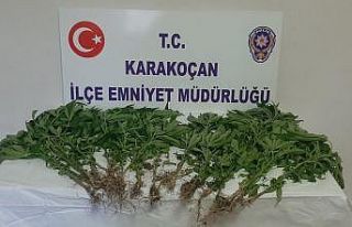 Elazığ’da uyuşturucu ile mücadele : 1 gözaltı
