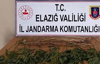 Elazığ’da uyuşturucuyla mücadele çalışması