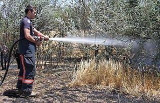 Elazığ’da yangın: 12 dönüm ekili alan kül...