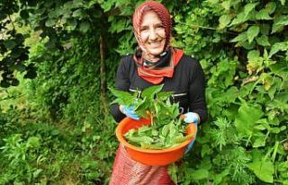 Elleri yana yana para kazanıyor