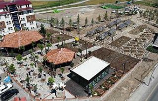 Endemik Vadi açılış için gün sayıyor