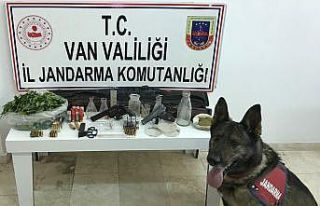 Erciş’te uyuşturucu operasyonu