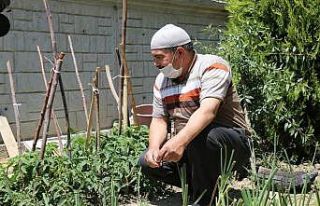 Ereğli Belediyesi tarafından dağıtılan fideler...