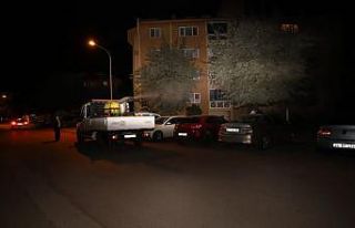 Erzincan’da haşere ve sineklere karşı sokaklar...