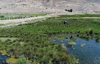 Erzincan’da sulak alanlar havadan ilaçlandı