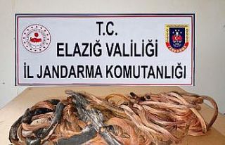 Erzurum’da çaldılar Elazığ’da yakalandılar