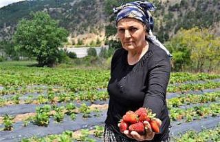 Eşine destek olmak için başladı, köylü kadınlara...