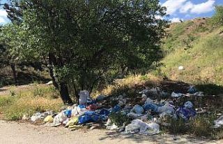 Eskişehir’de Dünya Çevre Günü’ne yakışmayan...