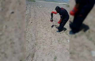 Ev sahiplerine korku yaşatan yılanı itfaiye ekipleri...