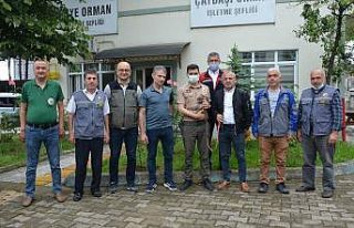 Evcil maymuna şefkat eli