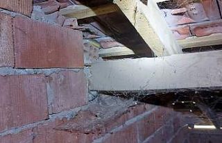 Eve giren yılanı itfaiye yakaladı