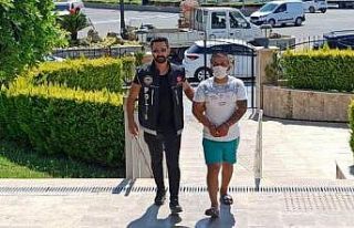 Evinde bonzai ele geçirilen şahıs tutuklandı