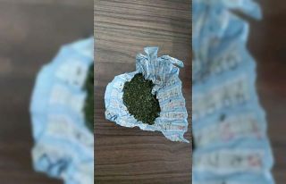Evinin bahçesinde uyuşturucu yetiştiren kişiye...