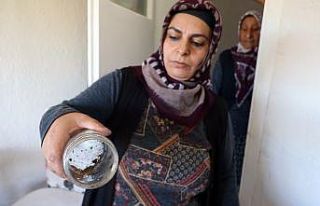 Evlerini akrepler bastı, hayatları kabusa döndü