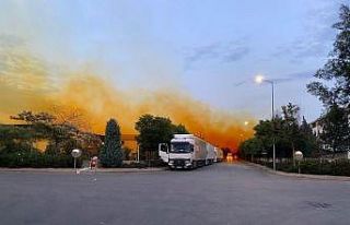 Fabrikanın kimyasal madde tankından sızıp havayla...