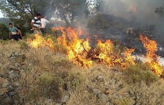 Fethiye’deki orman yangını büyümeden söndürüldü