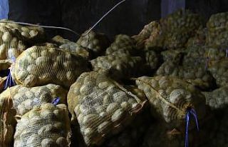 Fiyatı en fazla artan ürün patates