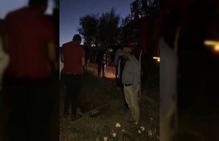 Fosseptik çukuruna düşen ineği itfaiye ekibi kurtardı