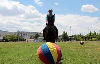 Futbolcuları aratmayan at