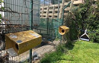 Gazi Üniversitesi öğrencilerinden can dostlara...