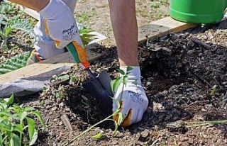 Geleceğin şefleri, Dünya Çevre Günü’nde ‘Terasta...