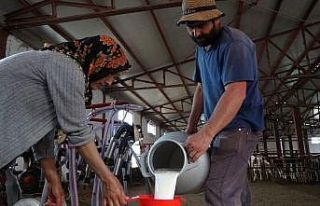 Genç çiftin hayali devlet desteğiyle gerçekleşti