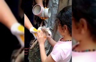 Gider borusunda mahsur kalan tavşanları itfaiye...