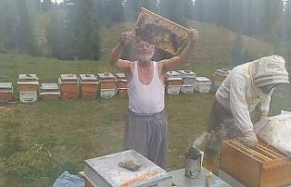 Gömleğini çıkarıp arıları sevdi