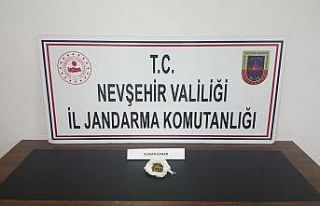 Göreme’de 28 kök kenevir ele geçirildi