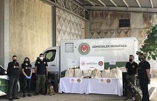 Gümrük Muhafaza ekipleri tarafından 30 milyon lira...