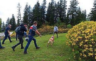 Gümüşhane’de kaybolan şahıs aranıyor