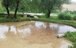 Gürün’de sel, tonlarca alabalık kayıp