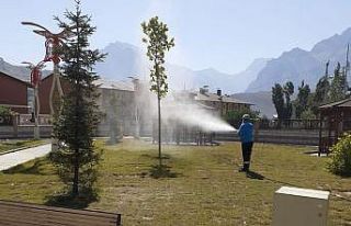 Hakkari’de park ve bahçeler ilaçlandı