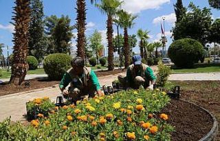 Haliliye’de parklar yaza hazır