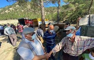 Hanönü’nde kurbanlıkların satışı başladı