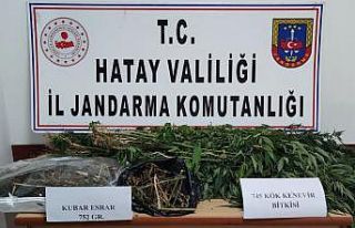 Hatay’da kenevir operasyonu