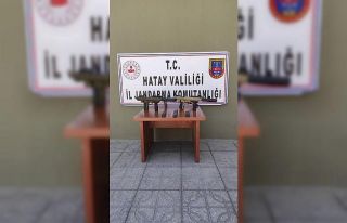 Hatay’da silah kaçakçılığı operasyonu