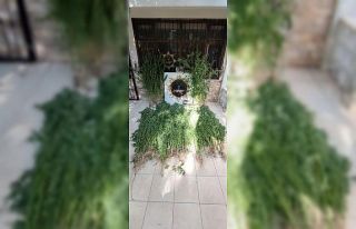 Hatay’da uyuşturucu operasyonunda 1 tutuklama